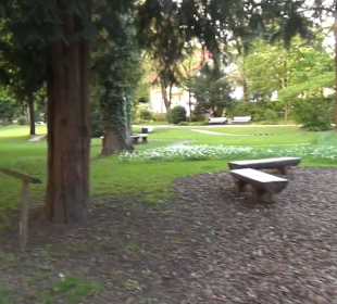 Ortenau Park