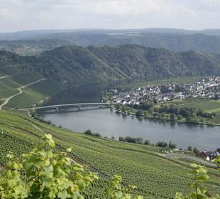 Moselschleife