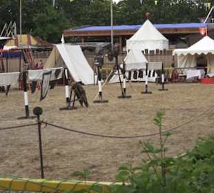 Jahrhundertmarkt und Ritterturney 