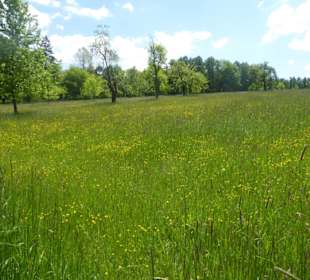 Wanderweg Mariabrunn-Röhrmoos