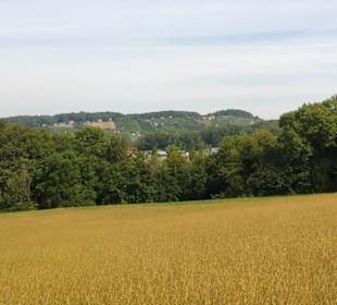 Blick nach Rosenberg