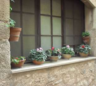 Romantische Gassen und überall Alpenveilchen