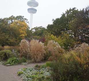 Parkanlage Planten un Blomen