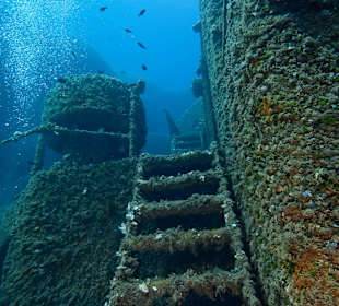 The wreck Agelika