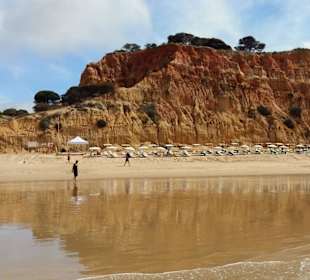 Ein Paradies - nicht nur für Kinder