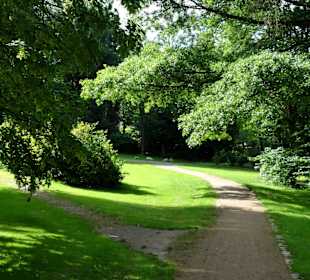 Spaziergang durch den Stadtpark