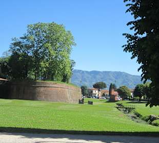 Stadtmauer Lucca