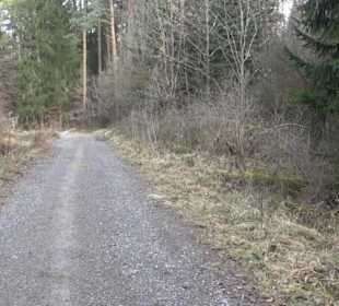 Rundwanderung durch den Rauhen Rammert Hemmendorf