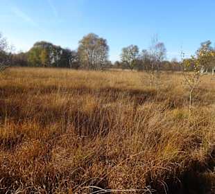 Hochmoorlandschaft um das Ewige Meer