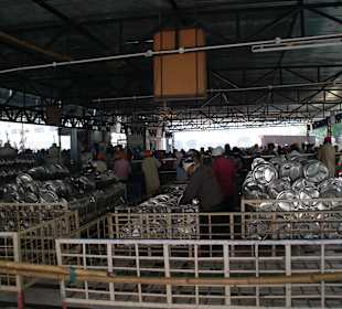 Geschirrausgabe der kostenlosen Essenausgabe