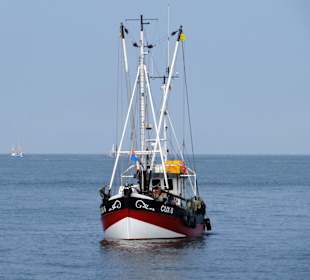 Krabbenkutter vor der Hafeneinfahrt