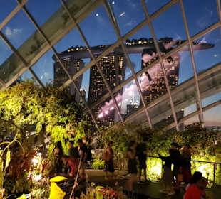 Cloud Forest Singapur