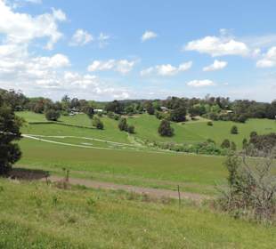 Mit der Puffing Billy Dampfbahn unterwegs