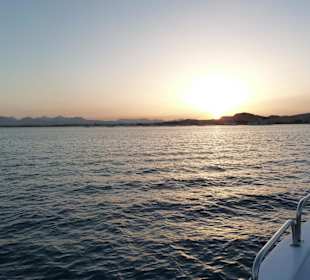 Auf der Rückreise von Mahmya