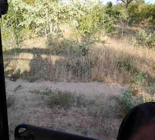 Krüger Nationalpark