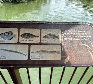 Sungei Buloh Wetland Reserve