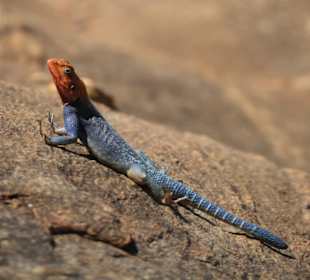 Hot stones, no chance to put the feet on the floor