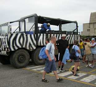 Monster Truck Safari