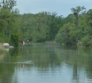 Fahrt mit dem Linienboot auf dem Alten Rhein