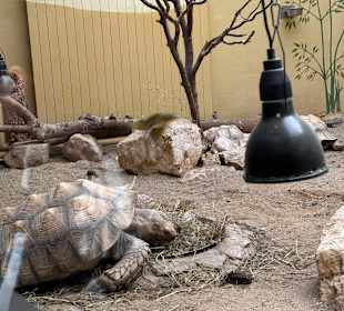 Tiergarten Straubing