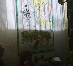 Bodega Tio Pepe