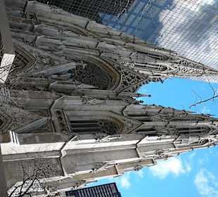   St. Patrick's Cathedral