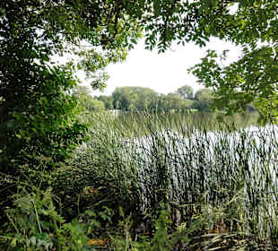 Impressionen vom Kiessee