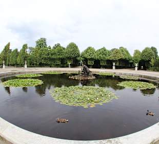 Schloss Schönbrunn - Brunnen