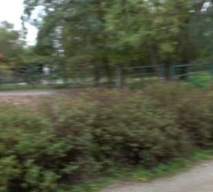 Tierpark 