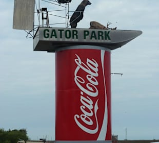 Gator Park/Everglades