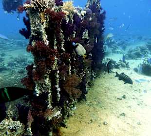 Überreste Jolanda-Wrack