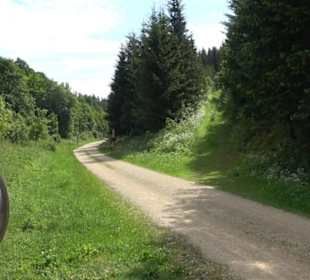 Phäno-Pfad Aichstetten