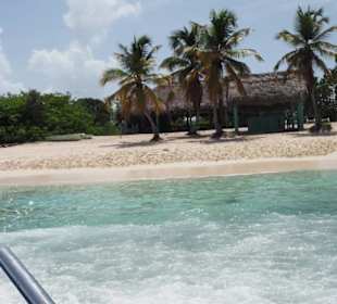 Unser Strand auf Catalina