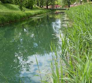 Forellenbächle