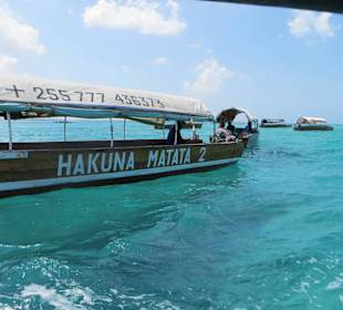 Die verschiedenen Tourboote