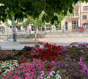 Stadtrundgang Karlsbad / Karlovy Vary