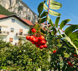Wandern Fai Della Paganella
