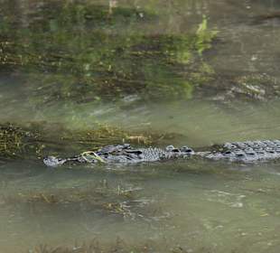 Kakadu NP