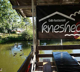 Holzinsel im Kneshecke-Paddelteich