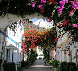 Wunderschöne Hafengassen