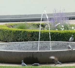 Beim Elisengarten in Aachen