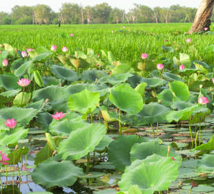 Ausflug zum Yellow River