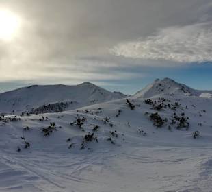 Wandern Donnersbachwald