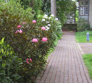 Altstadt / Burghofstraße Burghofmuseum Park