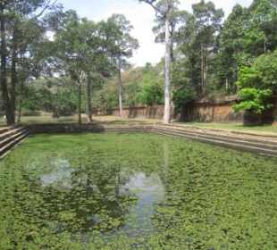 Wasserbecken