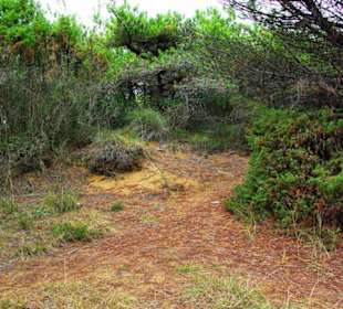 Ende September 2010 Inspirationen