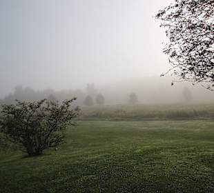 Die Anlage im Frühnebel