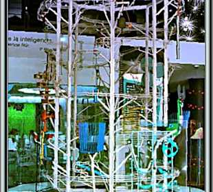 Elder-Museum Las Palmas