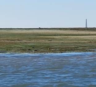 Bootstour Ria Formosa