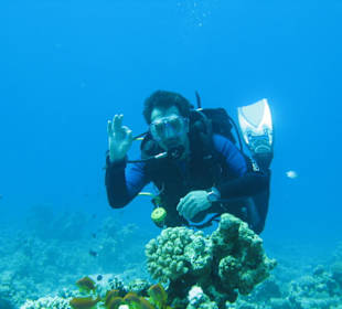 Tauchen mit Manfred